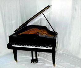 Piano van Gogh GmbH Bild 1
