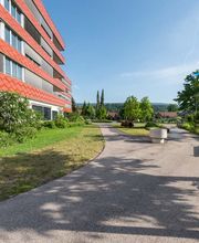 Kottmann-Kohler Gartenbau AG Bild 12