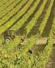 SCE Tresbaudon image 7