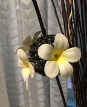 Bun Thaï Bien-Etre image 7