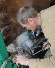 Henrotay Gilles image 12