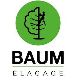 Baum élagage