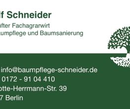 Baumpflege Schneider Bild 1