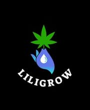 Liligrow imagen 7