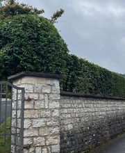 Gartenservice Mark Miess Bild 16