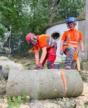 Chef mit Lucian Sturmschaden