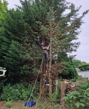 Quandalle Clément image 4