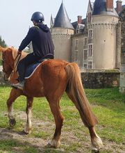 Domaine De La Borderie image 1