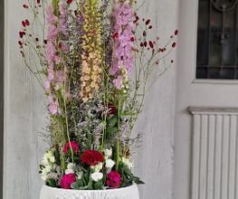 Blumen Hirter Bild 5
