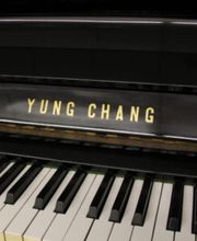 B Natural Pianos & Music School image 20