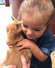 Taylor Animal Hospital of Parkville image 16