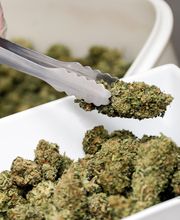CbZen CBD image 3