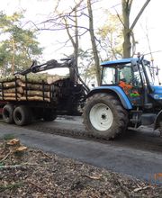 Boomverzorging Bouwmeester