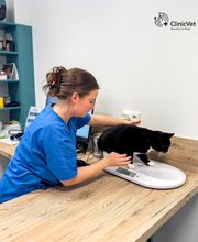 ClinicVet Vétérinaire Beaumont-le-Roger image 13