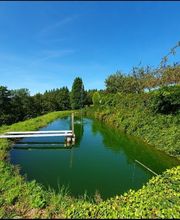 Erholungsblick Bild 6