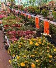 HORNBACH Gartencenter Berlin-Weissensee Bild 3