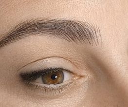MICROPIGMENTACION-CEJAS-PELO-A-PELO-ERRENTERIA-GUIPUZKOA.jpg
