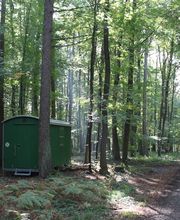 FriedWald Meroder Wald Bild 1