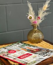 Coiffeur Hair Artist Bild 6