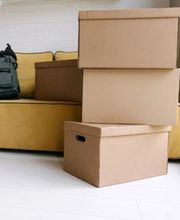 All Moves Are Us image 10