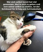 Hypnosetherapie Gerda Hauser Bild 4