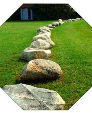 Gartenwelt Kröner Bild 3