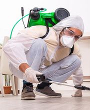 Schädlingsbekämpfungen Staudenmayer Bild 3