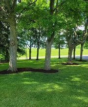 Aman Landscaping image 13