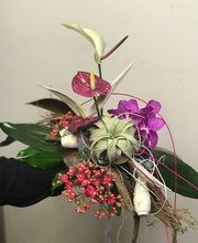 Stilvoll Sandra Schmitt Bild 6