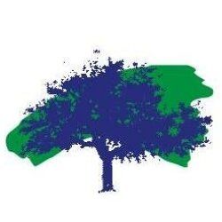 Pini srl logo