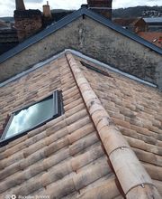 Amis Perchés image 3