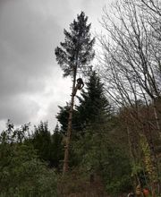 PRESTA-SERVICE image 3