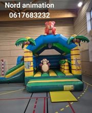 Nord Animation image 3