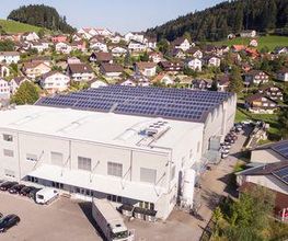 Hansesun Photovoltaik Swiss Bild 9