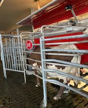 LELY CENTER Härkingen Bild 2