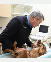 North Buffalo Animal Hospital image 5