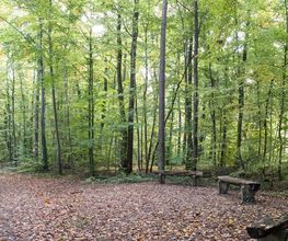 FriedWald Euskirchen Bild 7