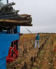 Domaine Besancenot EARL image 19