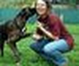 Wedel wedel Hundeschule Bild 1