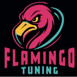 Flamingo Tuning GmbH