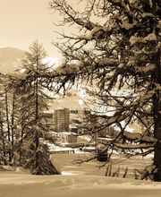 Alp Agence image 14