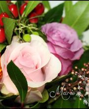 Pougary Marie image 17