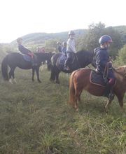 Centre Equestre De La Guérinière image 7