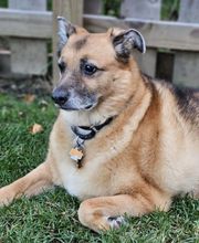 Gage.  I have been guarding the office and files for a number of years but just recently felt comfortable with my picture being posted.