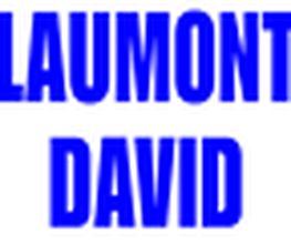 Laumont David image 2