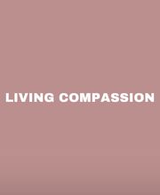 Vedic Coaching und Living Compassion Bild 3