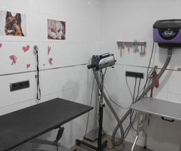 sala-tratamientos-03.jpg
