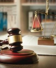 Gallery Professionale