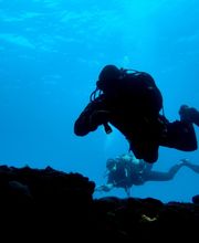 Fuerteventura Diving imagen 4