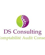 DS Consulting image 1